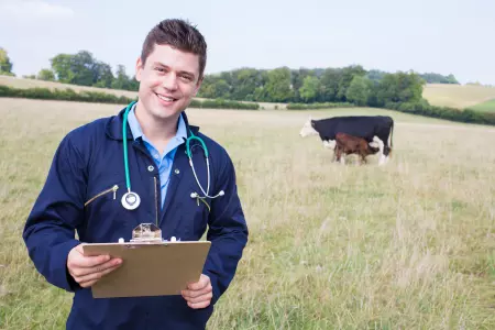Santé, sécurité et qualité de vie au travail