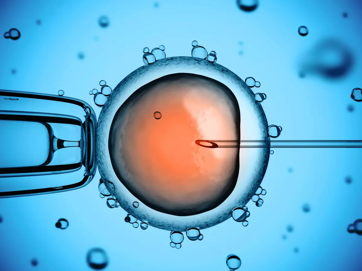 Biotechnologie de l’embryon