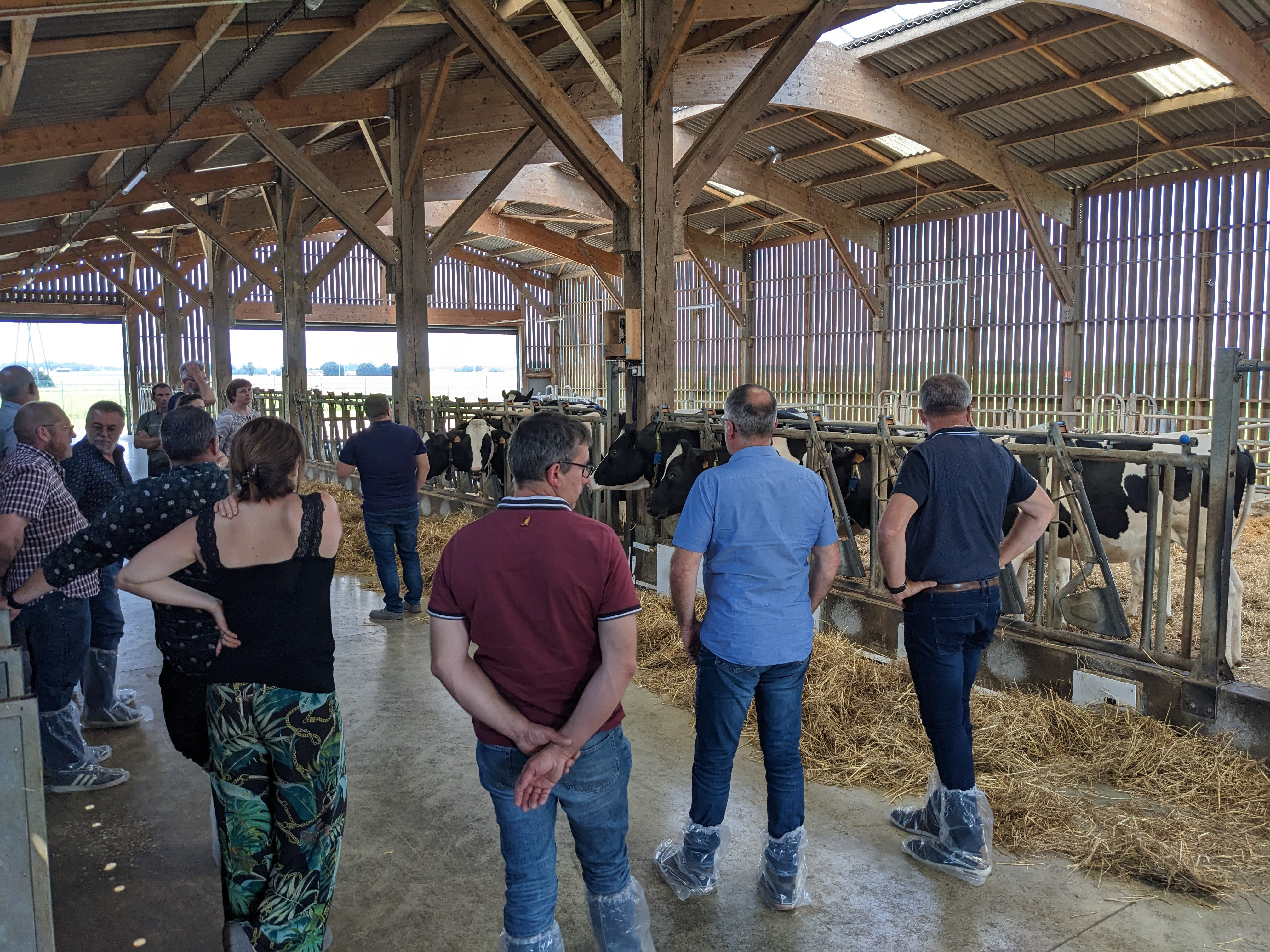 PXL_20230615_131834614